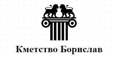 Кметство Борислав