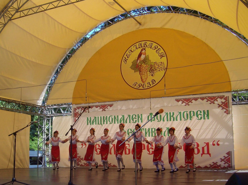 Народно читалище Нов път 2011 Село Добрич 