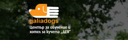 Obuchenie Na Kucheta I Hotel Deya Plovdiv