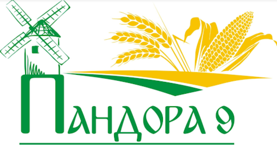 ПАНДОРА 9 ЕООД