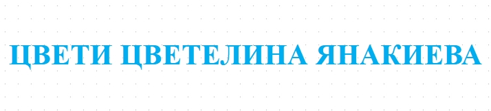 TsVETI TsVETELINA YaNAKIEVA