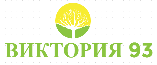 ВИКТОРИЯ 93