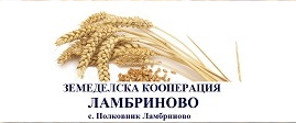 ЗЕМЕДЕЛСКА КООПЕРАЦИЯ ЛАМБРИНОВО