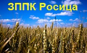ЗЕМЕДЕЛСКА ПРОИЗВОДСТВЕНО ПОТРЕБИТЕЛНА КООПЕРАЦИЯ РОСИЦА
