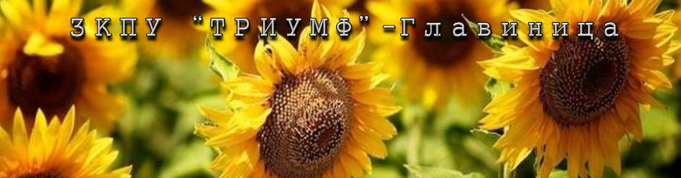 ЗКПУ ТРИУМФ
