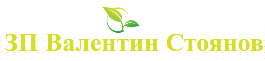 ЗП Валентин Стоянов