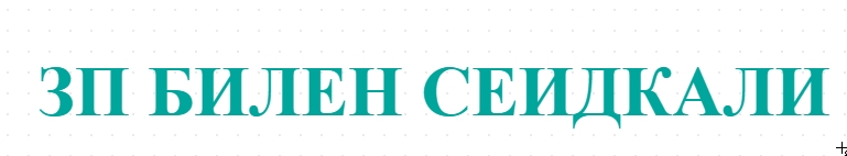 ЗП БИЛЕН СЕИДКАЛИ