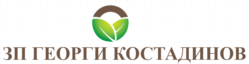 ZP GEORGI KOSTADINOV