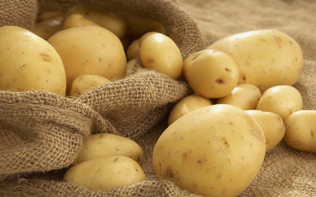ЗП ХАФИЗЕ САЛИ МУСТАФА -Търговия със земеделска продукция Асеновград