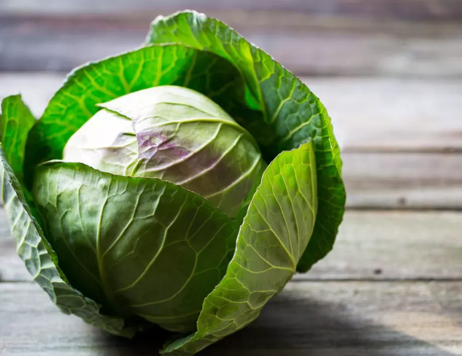 ZP NIKOLAY IVANOV ZDRAVKOV - proizvoditel na chushki zele i patladzhan S. Dalgo pole 