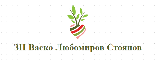 ЗП Васко Любомиров Стоянов