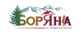 къща за гости Боряна Борово