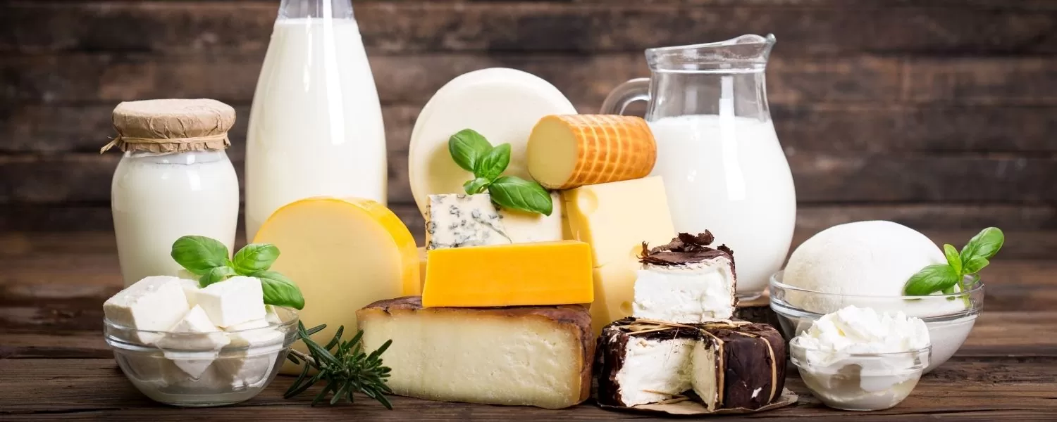  Магазин за млечни продукти Асеновград Млечна къща