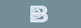 Агенция за преводи Виана