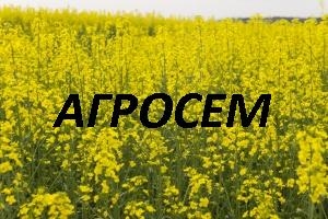 Агросем 2002