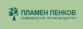 AP Πλάμεν Penkov