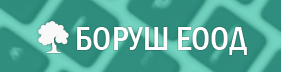 БОРУШ Одитиране София