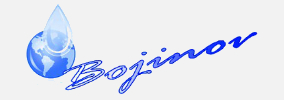 БОЖИНОВ 2006