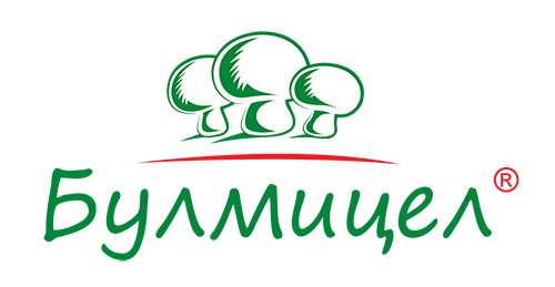 Булмицел