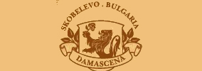ДАМАСЦЕНА