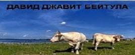 ЕТ ДАВИД ДЖАВИТ БЕЙТУЛА