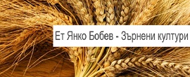 ЕТ Янко Бобев