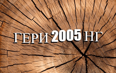 ГЕРИ 2005 НГ ЕООД