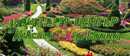 ГРАДИНСКИ ЦЕНТЪР ДЪБНИКА