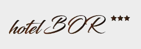 Hotel Bor