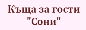 Хотел Сони