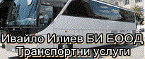 IVAYLO ILIEV BI