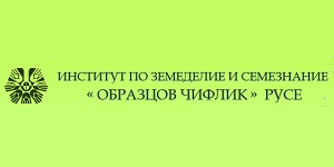 ИЗС ОБРАЗЦОВ ЧИФЛИК