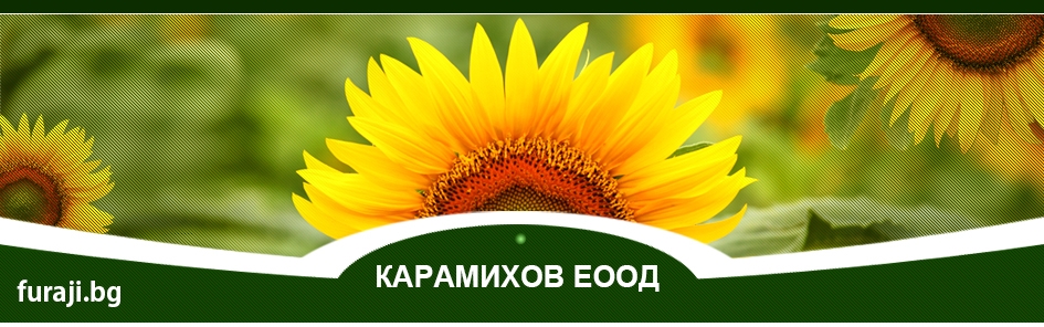 Карамихов ЕООД