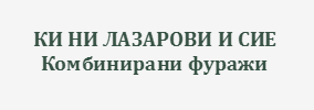 КИ НИ ЛАЗАРОВИ И СИЕ