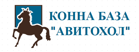 КОННА БАЗА АВИТОХОЛ