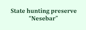 NESEBAR STATE HUNTING NESEBAR