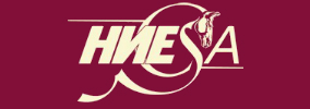 НИЕСА