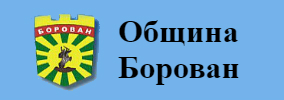 Община Борован