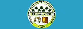 Професионална Гимназия по Дървообработване Георги Кондолов