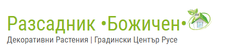 Разсадник БОЖИЧЕН РУСЕ
