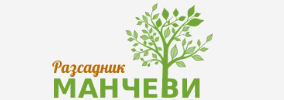 Разсадник Манчеви
