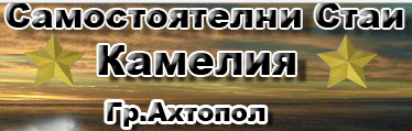 Самостоятелни стаи Ахтопол