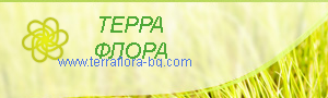 ТЕРРА ФЛОРА ШАБОВИ