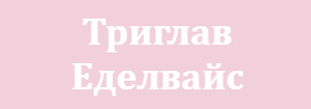 Триглав Еделвайс