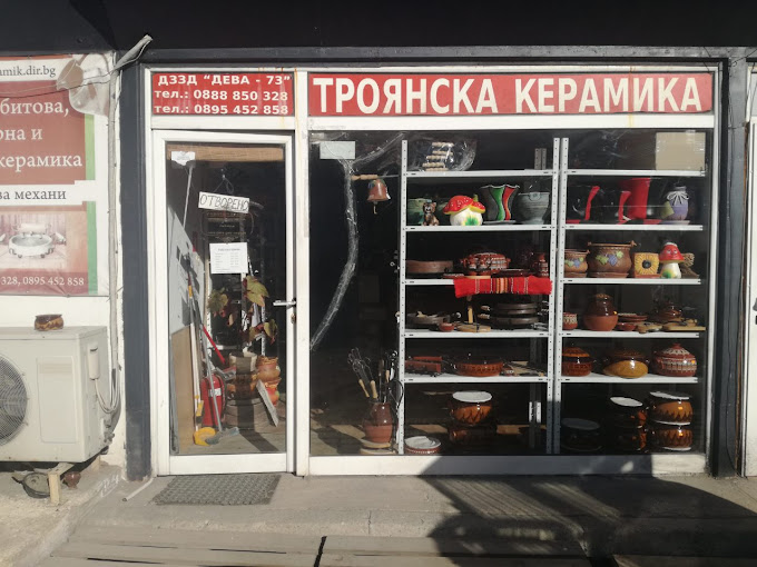 ДЕВА 73 ДЗЗД