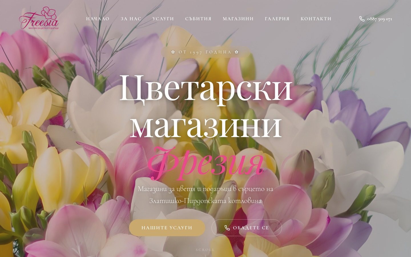 Фрезия